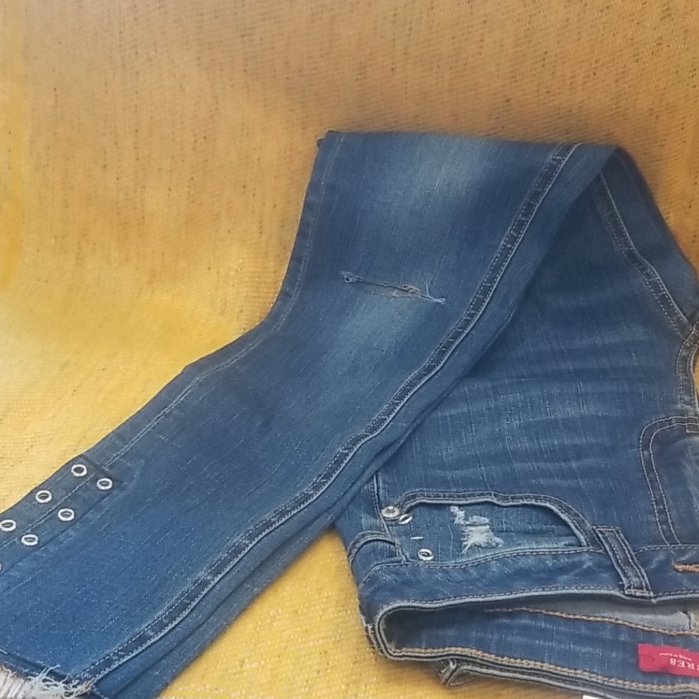 Signature Blue Jeans Pants